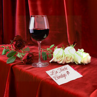 Thumbnail for the Michael Foster - La Noche Contigo link, provided by host site