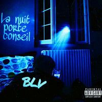 Thumbnail for the BLV - La nuit porte conseil link, provided by host site