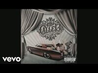 Thumbnail for the Calle 13 - La Perla link, provided by host site