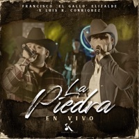 Thumbnail for the Francisco El Gallo Elizalde - La Piedra (En Vivo) link, provided by host site