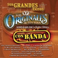 Thumbnail for the Los Originales de San Juan - La Raza Michoacana link, provided by host site