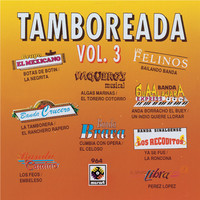 Image of Banda Sinaloense Los Recoditos linking to their artist page due to link from them being at the top of the main table on this page
