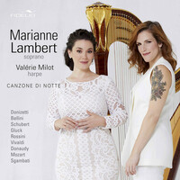 Thumbnail for the Giovanni Sgambati - La separazione (Arr. for Voice & Harp) link, provided by host site