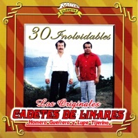 Thumbnail for the Los Cadetes de Linares - La Venganza de María link, provided by host site