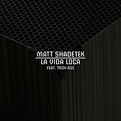 Thumbnail for the Matt Shadetek - La Vida Loca link, provided by host site