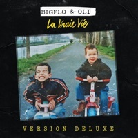 Thumbnail for the Bigflo - La vraie vie link, provided by host site