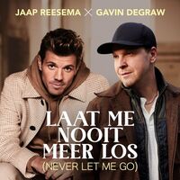 Thumbnail for the Gavin DeGraw - Laat Me Nooit Meer Los (Never Let Me Go) link, provided by host site