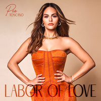 Thumbnail for the Pia Toscano - Labor Of Love link, provided by host site