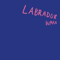 Thumbnail for the Waax - Labrador link, provided by host site