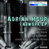 Thumbnail for the Adrian Hour - Labwork link, provided by host site