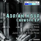 Thumbnail for the Adrian Hour - Labwork link, provided by host site