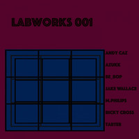 Thumbnail for the Various Artists - Labworks 001 link, provided by host site
