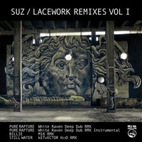 Thumbnail for the Suz - Lacework Remixes, Vol. 1 link, provided by host site