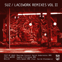 Thumbnail for the Suz - Lacework Remixes, Vol. 2 link, provided by host site