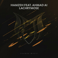 Thumbnail for the HamzeH - Lachrymose link, provided by host site