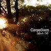 Image of Carpe Diem linking to their artist page due to link from them being at the top of the main table on this page