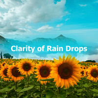 Thumbnail for the Relaxing Spa Music - Laidback Relax link, provided by host site