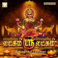 Thumbnail for the Anuradha Sriram - Lakshmi Shri Lakshmi link, provided by host site