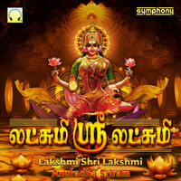 Thumbnail for the Anuradha Sriram - Lakshmi Shri Lakshmi link, provided by host site