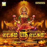 Thumbnail for the Anuradha Sriram - Lakshmi Shri Lakshmi link, provided by host site