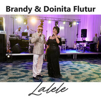 Thumbnail for the Brandy - Lalele link, provided by host site