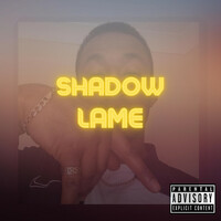 Image of Shadz linking to their artist page due to link from them being at the top of the main table on this page