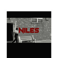 Thumbnail for the Niles - Lancaster Ave link, provided by host site