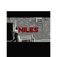 Image of Niles linking to their artist page due to link from them being at the top of the main table on this page