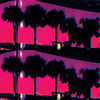 Image of Ducktails linking to their artist page due to link from them being at the top of the main table on this page