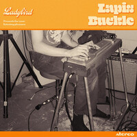 Thumbnail for the Ladybird - Lapis Buckle link, provided by host site