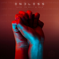 Thumbnail for the Endless - Lapse: The Guilt We Hold link, provided by host site