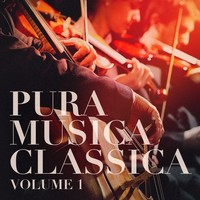 Thumbnail for the Musica Relajante - Largo link, provided by host site