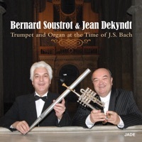 Thumbnail for the Bernard Soustrot & Jean Dekyndt - Largo link, provided by host site