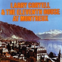 Image of Larry Coryell linking to their artist page due to link from them being at the top of the main table on this page