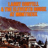 Image of Larry Coryell linking to their artist page due to link from them being at the top of the main table on this page