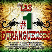 Thumbnail for the Tornado - Las #1 Duranguenses link, provided by host site