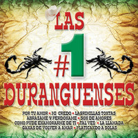 Thumbnail for the Tornado - Las #1 Duranguenses link, provided by host site
