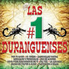 Thumbnail for the Tornado - Las #1 Duranguenses link, provided by host site