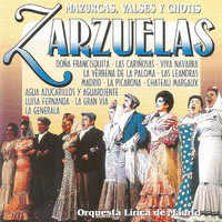 Thumbnail for the Francisco Alonso - Las leandras link, provided by host site