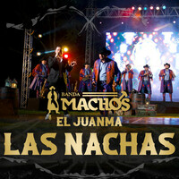 Thumbnail for the Banda Machos - Las Nachas link, provided by host site