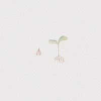 Thumbnail for the Perotá Chingò - Las Plantas Crecen link, provided by host site