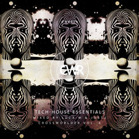 Thumbnail for the Luca M - Last Guy Standing - Demian Muller Remix link, provided by host site