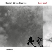 Thumbnail for the Danish String Quartet - Last Leaf link, provided by host site