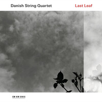 Thumbnail for the Danish String Quartet - Last Leaf link, provided by host site
