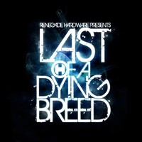 Thumbnail for the Raiden - Last of a Dying Breed Mix (Mixed By Raiden) [Bonus Track] link, provided by host site