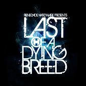 Thumbnail for the Raiden - Last of a Dying Breed Mix (Mixed By Raiden) [Bonus Track] link, provided by host site