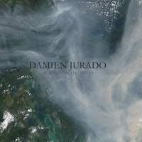 Thumbnail for the Damien Jurado - Last Rights link, provided by host site
