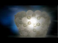 Thumbnail for the L.T. - Late Night Tales - Australian TV Advert link, provided by host site