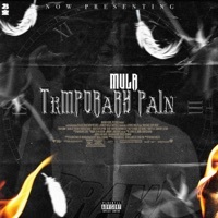 Thumbnail for the Mula - Late To the Party link, provided by host site