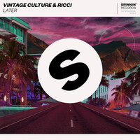 Thumbnail for the Vintage Culture - Later (Extended Mix) link, provided by host site